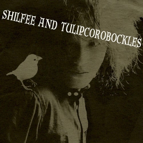 shilfee3pack