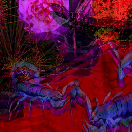 Untitled 1991, Vol. 2