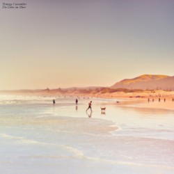 Die Liebe im Meer