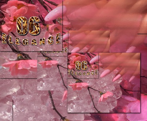 06 ELEGANCE