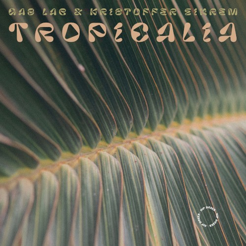 Tropicalia
