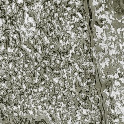 NAHA-HEAVYMETALLIC