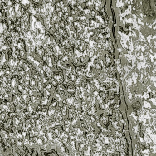 NAHA-HEAVYMETALLIC