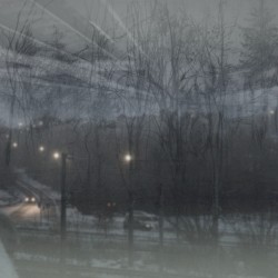 Pedestrian