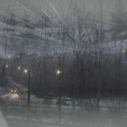 Pedestrian
