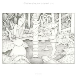 Navigating the Kali Yuga Vol. 1