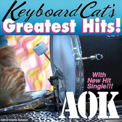 Keyboard Cat’s Greatest Hits! A OK
