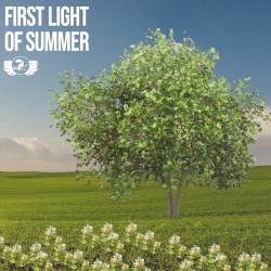 First Light of Summer