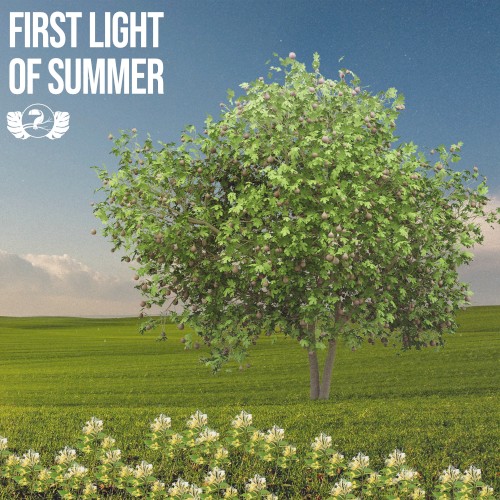 First Light of Summer
