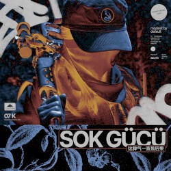 SOK GÜCÜ (这脾气一直是后果)