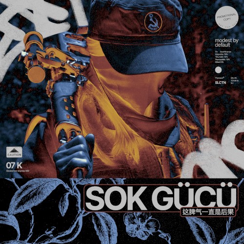 SOK GÜCÜ (这脾气一直是后果)