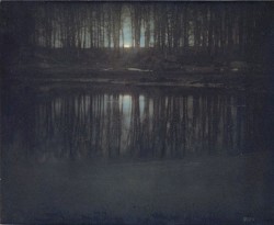Last Light of the Obsidian Cypress