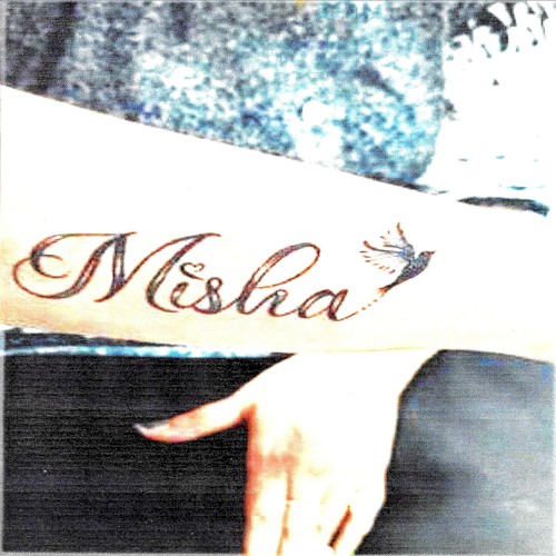 MISHA