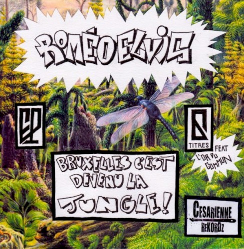 BRUXELLES C’EST DEVENU LA JUNGLE !