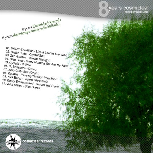 8 Years Cosmicleaf (Mixed By Side Liner)