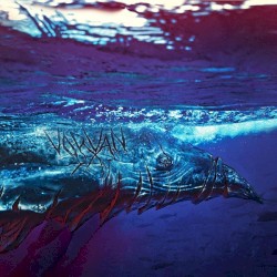 Sailing the Vastness of Oceans