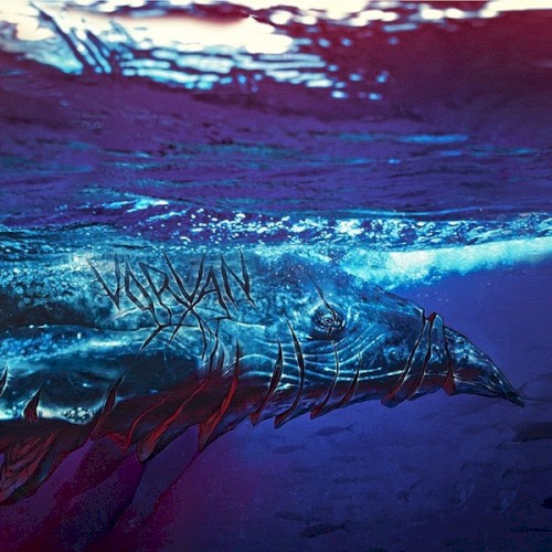 Sailing the Vastness of Oceans