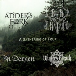 A Gathering of Four