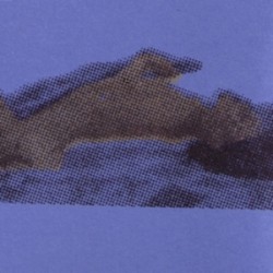 Live In A Room + 3