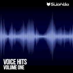 Voice Hits, Vol. 1