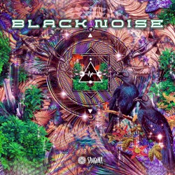 Black Noise