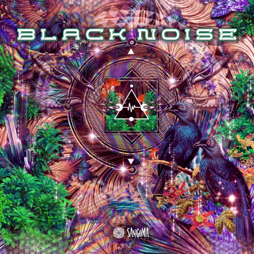 Black Noise