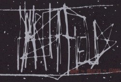 Harsh Fields