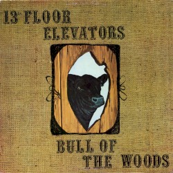 Bull of the Woods