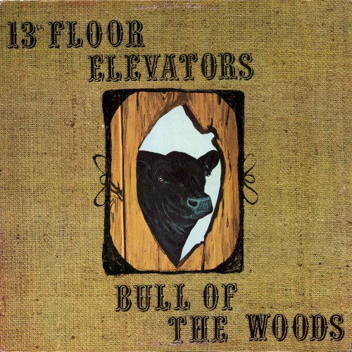 Bull of the Woods