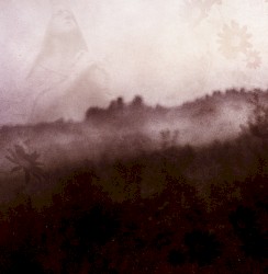 Winterlost