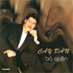 Cây đàn bỏ quên