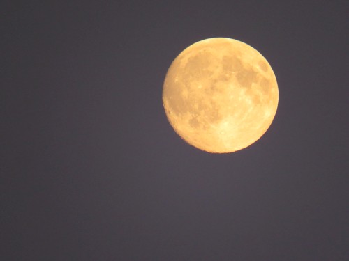 Dunkel war's, der Mond
