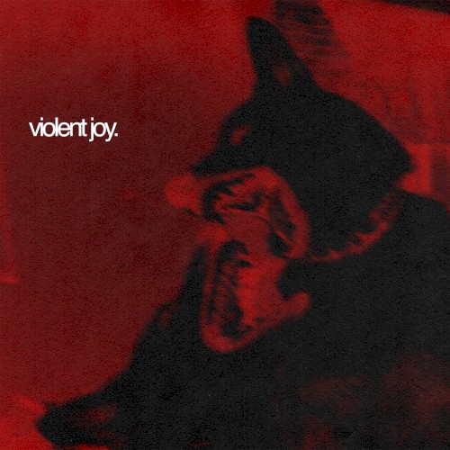 VIOLENT JOY