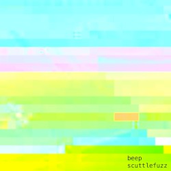 beep