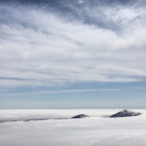 Watching the Fog Spill