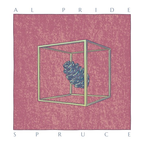 Spruce