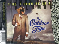 The Outdoor Type