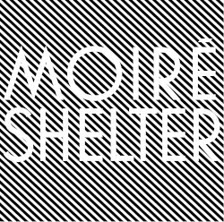 Shelter
