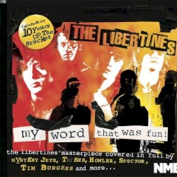 The Libertines: My Word That Was Fun!