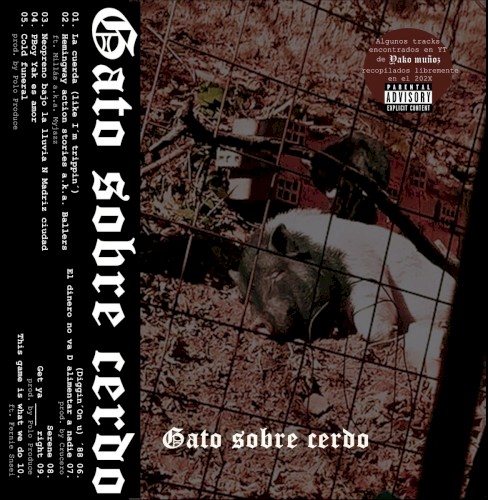 Gato sobre cerdo