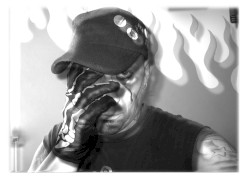 Free Tracks