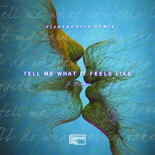 Tell Me What It Feels Like (Vijay & Sofia remix)