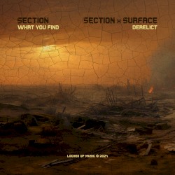 What You Find / Derelict
