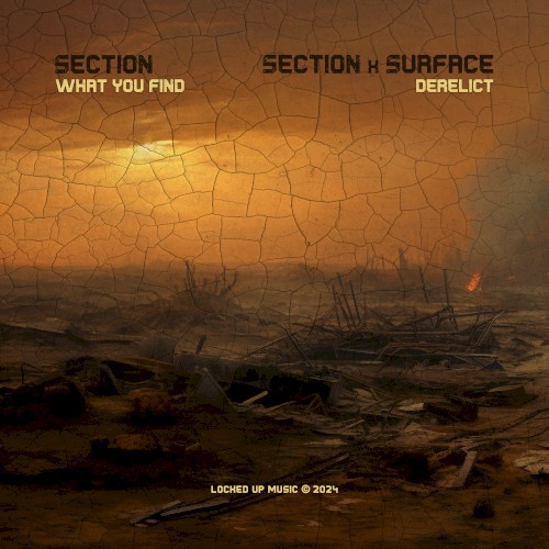 What You Find / Derelict