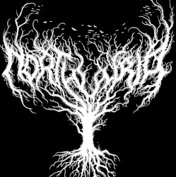 The Silver Forest