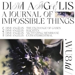 A Journal of Impossible Things