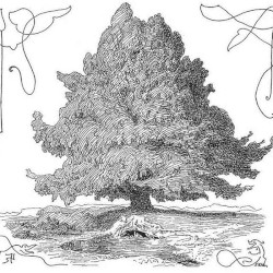 A Tree Song