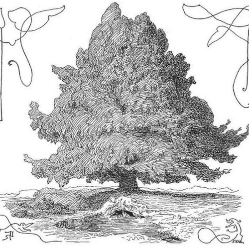 A Tree Song