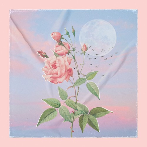 smell of a rose