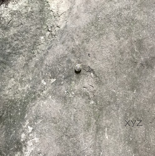 Xyz
